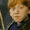 878597.gif